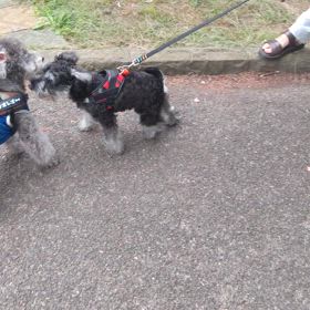 動画映るかな?の画像