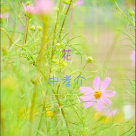 夜中、むくむくと、ほっぺが、、、@(・●・)@の画像