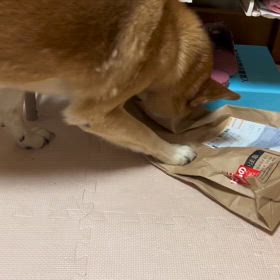 石岡八郷ベースの画像