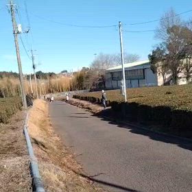 東金子駅伝（坂ダッシュ）⑰の画像