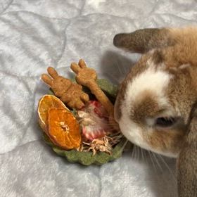 オーツヘイのケーキの画像