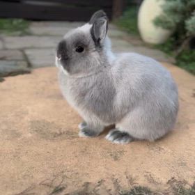 シネマティックにしてみた件の画像