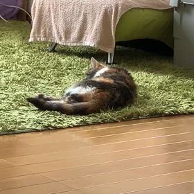 残しておきたくてその3の画像