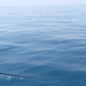 セイルはバイトさせるのがキモ！の画像