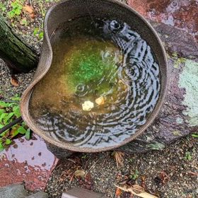 こんにちは。(5月2日)の画像