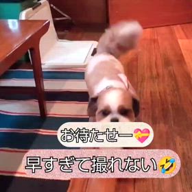 vol.3　優♡待たせたぜぃ❢の画像