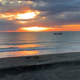 12月30日千葉北、東浪見の朝の波の画像
