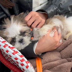 10/29 眼科検診＆視野検査の画像