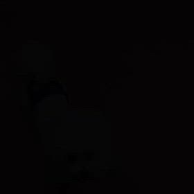 ☆お泊りわんこ☆〜7/4〜の画像