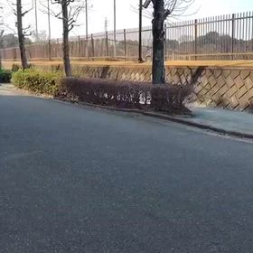 1000Mタイムトライアル①の画像