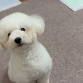 今日のニコ♪動画の画像