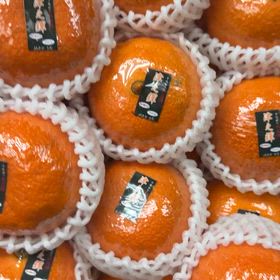 今扱ってる柑橘類の数々の画像