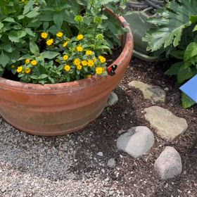 アメリカ、シカゴ在住。日常のひとコマの画像