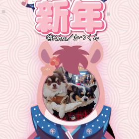 晴れの１日の画像