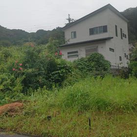 頭の傷と台風の画像