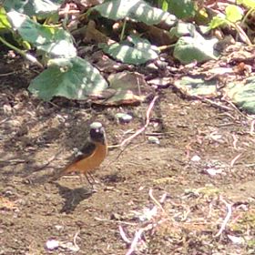 今日のお客様の画像