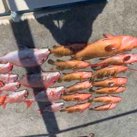 令和７年５月４日(日)　☀️晴の画像