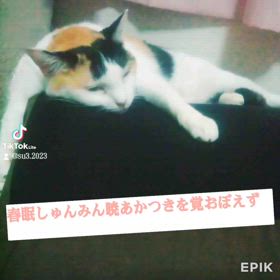 2024/03/13の画像