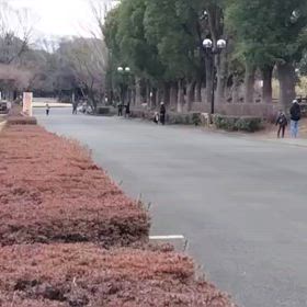 2/17 リレー選考会③の画像