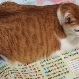 AI。の画像