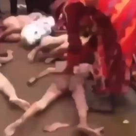 豚肉とは...  c/1305392644/1267の画像