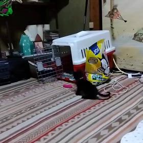 2024/09/30の画像