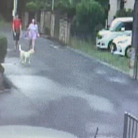 戻ってきた！Σ('◉⌓◉’)の画像