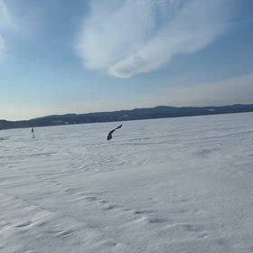 昨日は、フィッシングガイド兼猛禽ガイドでした。の画像