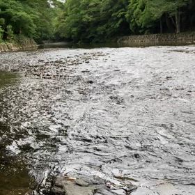”偶然は必然。「炊き込みご飯」編。”の画像