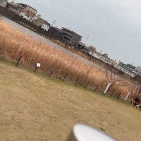 江戸ラン 華3年 辰1年②の画像