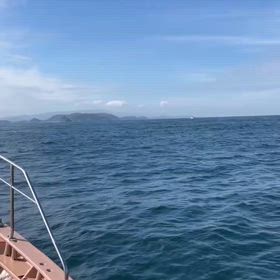 嵐の前の静けさとでも、、、の画像