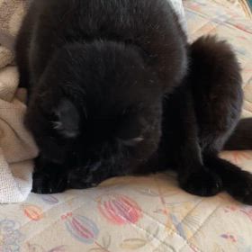 秋は好きなのにの画像