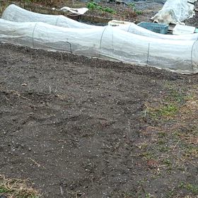 おはようございますの画像