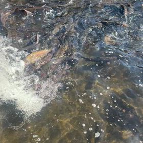 明日、4/27は空いています。の画像