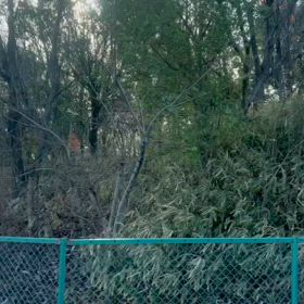 おはよう御座いますの画像