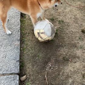 フリートーク19の画像