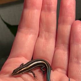 わたしのいちばんのお気に入りの子“ボカちゃん”の画像