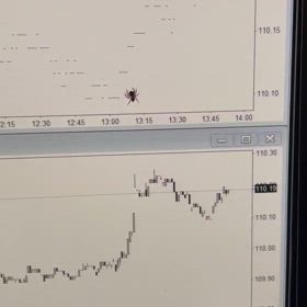 クモvsカーソルの画像