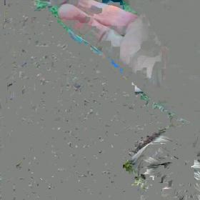 ボール大好き！の画像