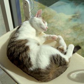 4月27日　今日のスペンサーの画像