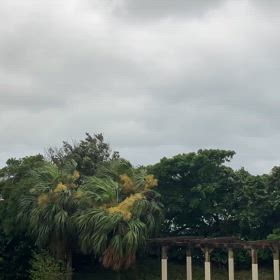 日曜日の沖縄の画像