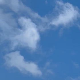 3/7こんにちはの画像