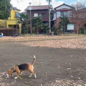 動画にヘルプの画像