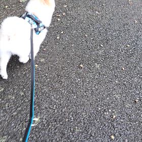 生まれて初めて！！の画像