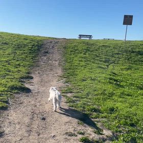 生き延びてる人の画像