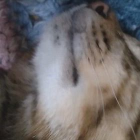 爆睡と寝言wの画像