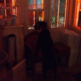 110番の日の画像