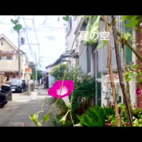 ♪儚きはの画像