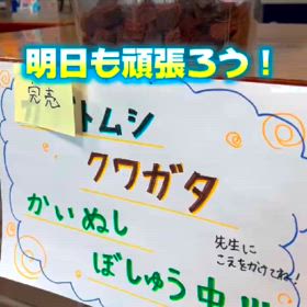 1クール目終了の画像