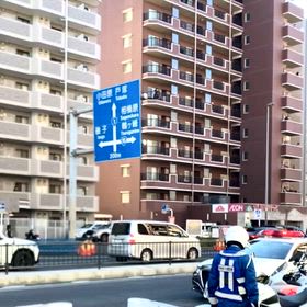 箱根駅伝2026の画像